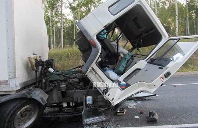 В Иркутской области при столкновении двух грузовиков погиб дальнобойщик