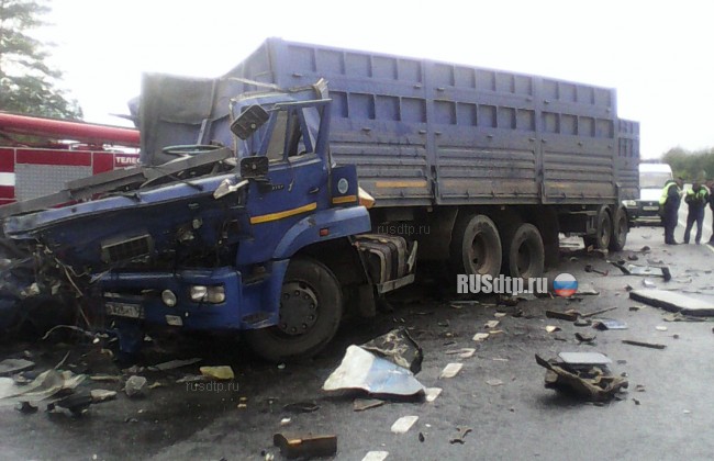 Автобус «Пенза-Тольятти» столкнулся с грузовиком в Ульяновской области
