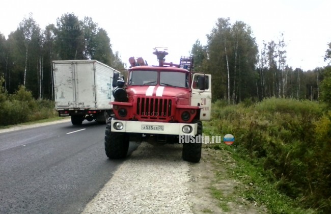 Водитель и два пассажира «Москвича» погибли в Кольчугинском районе