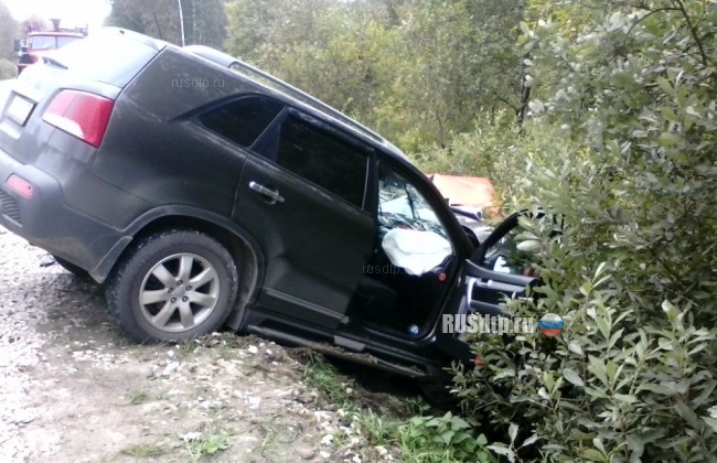 Водитель и два пассажира «Москвича» погибли в Кольчугинском районе