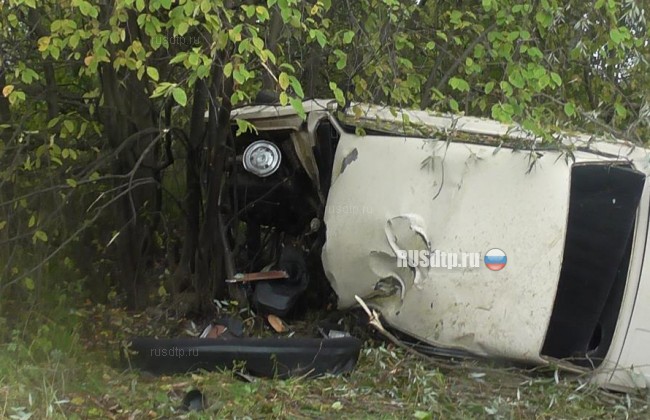 В Нижегородской области в перевернувшемся ВАЗе погибли водитель и 13-летний пассажир