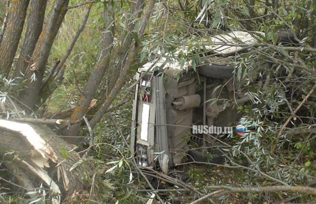В Нижегородской области в перевернувшемся ВАЗе погибли водитель и 13-летний пассажир