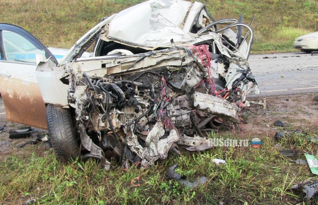 В Удмуртии уснувший водитель китайской иномарки погиб под встречной фурой