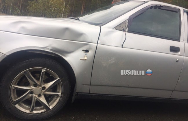 В Тюменской области лось бросился на &laquo;Приору&raquo; и сбежал с места ДТП