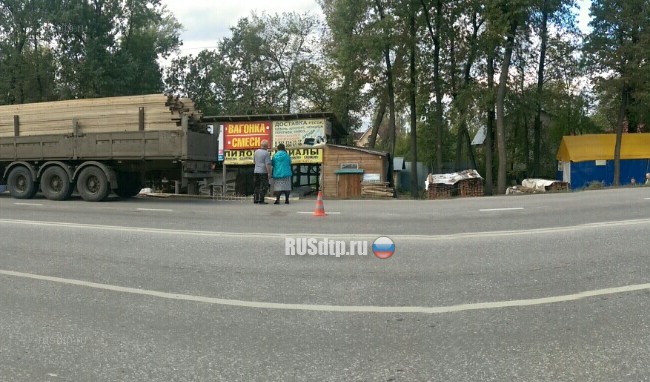 Под Самарой автобус с 30-ю пассажирами сбил пешехода и съехал с дороги в кювет