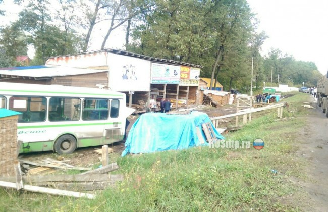 Под Самарой автобус с 30-ю пассажирами сбил пешехода и съехал с дороги в кювет