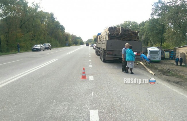 Под Самарой автобус с 30-ю пассажирами сбил пешехода и съехал с дороги в кювет