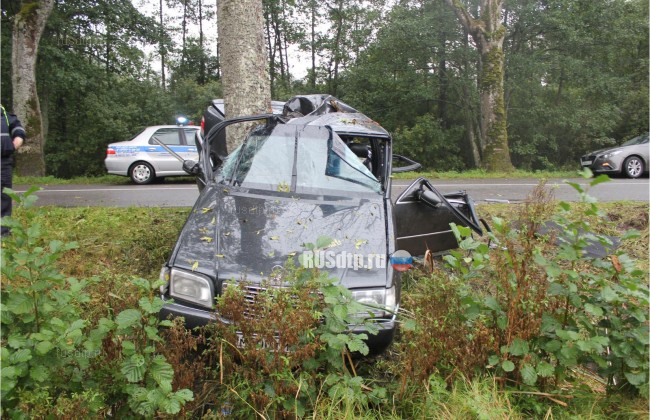 3-летняя девочка погибла при столкновении автомобиля с деревом в Калининградской области
