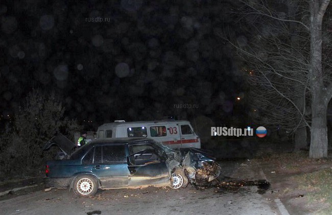 В Иркутске пьяный водитель врезался в дерево. Погибла пассажирка