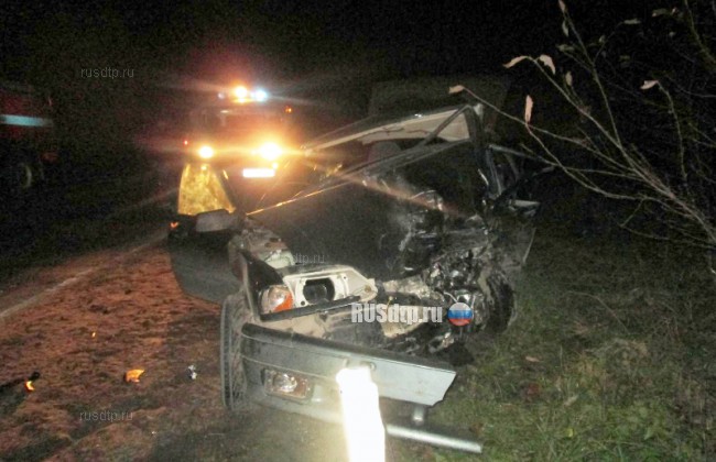 В Прикамье в лобовом столкновении ВАЗов погибли оба водителя