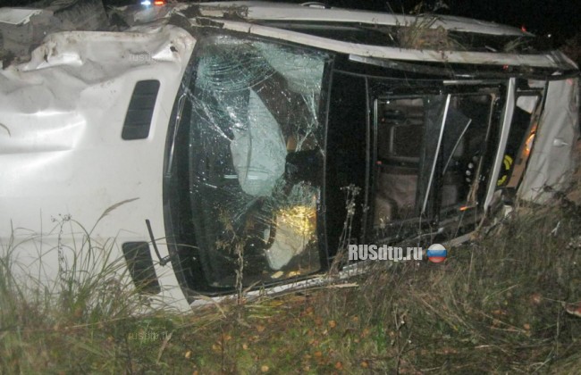 В Тамбовской области водитель «Мерседеса» сбежал с места ДТП, оставив умирать пассажиров