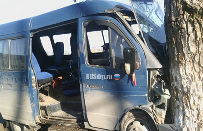 В Грозном в ДТП с маршруткой пострадали 14 человек