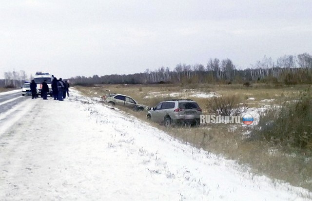 В Челябинской области Мицубиси насмерть сбил двоих мужчин