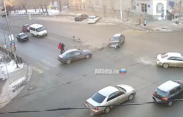 В Астрахани девушки и собаки едва не попали под колеса автомобиля