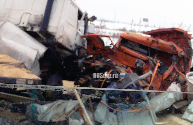 Двое погибли в ДТП с участием двух грузовиков на трассе на трассе Тюмень-Омск