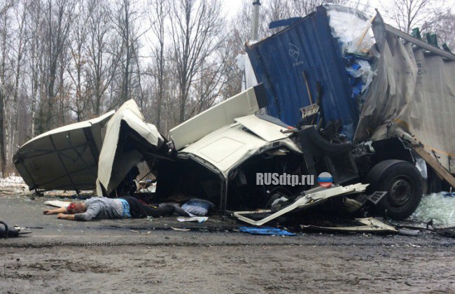 В Подмосковье в ДТП с участием грузовиков погибли оба водителя