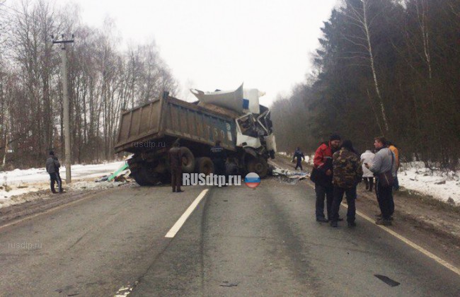 В Подмосковье в ДТП с участием грузовиков погибли оба водителя