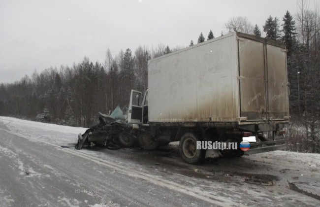 Водитель и его пассажирка погибли в ДТП в Вологодской области