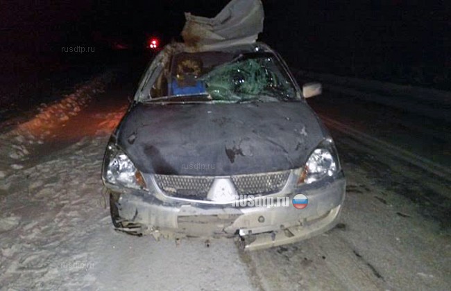 На Урале в результате наезда автомобиля на лося погиб годовалый малыш