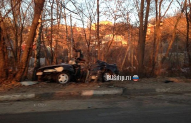 В Воронеже Nissan Skyline влетел в дерево. Погиб пассажир