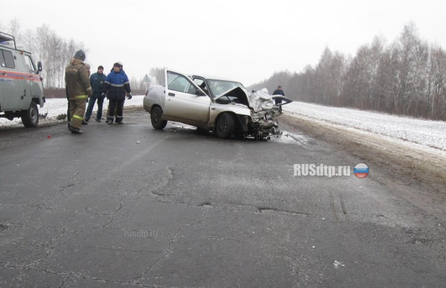 Оба водителя погибли в ДТП в Тамбовской области