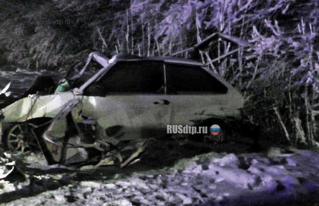 Девушка «убила» пассажира на трассе М-5 в Рязанской области