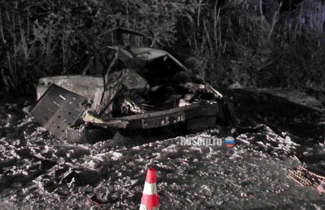 Девушка «убила» пассажира на трассе М-5 в Рязанской области