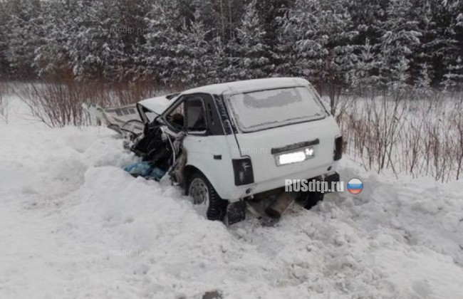 Неудачный обгон закончился смертельным ДТП в Свердловской области