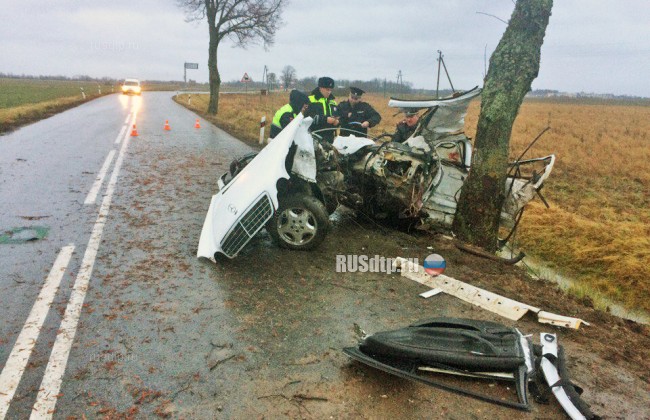 В Калининградской области «Мерседес» разорвало на части после столкновения с деревом