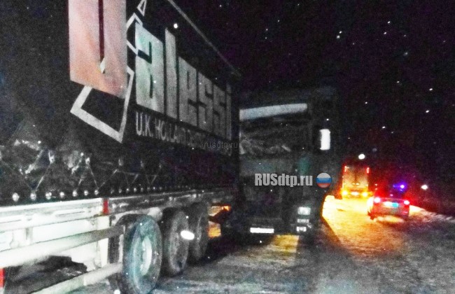 В Кировской области водитель фуры насмерть сбил инспектора ДПС