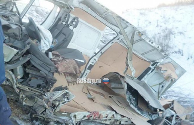 Водители фуры и фургона погибли в ДТП в Ульяновской области