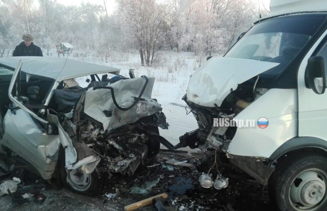 Женщина-водитель и ее дочь погибли в ДТП в Ульяновской области