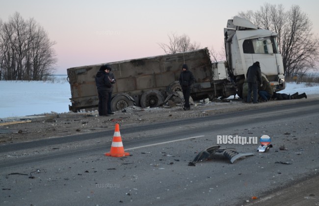 В Рязанской области по вине водителя грузовика погиб человек