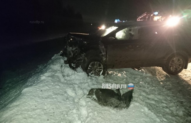 Невиновный водитель погиб в результате ДТП в Пермском крае
