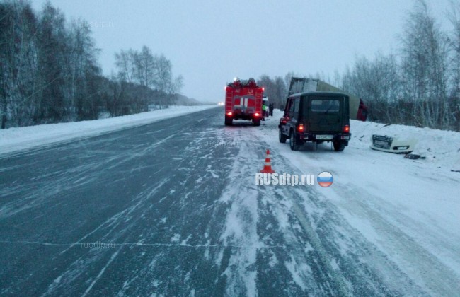 Женщина и двое мужчин погибли на трассе \&#187;Иртыш\&#187; в Новосибирской области