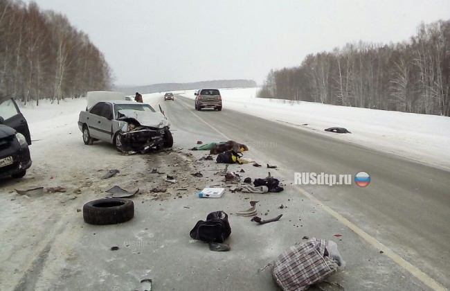 Мужчина и женщина погибли в ДТП на трассе «Новосибирск &#8212; Ленинск-Кузнецкий»