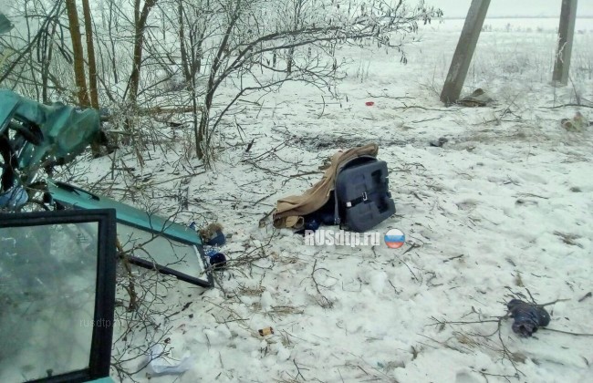 Двое детей погибли при столкновении автомобиля с деревом на Ставрополье