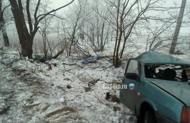 Двое детей погибли при столкновении автомобиля с деревом на Ставрополье