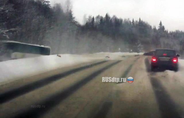 ДТП с автобусом в Пермском крае попало на видео