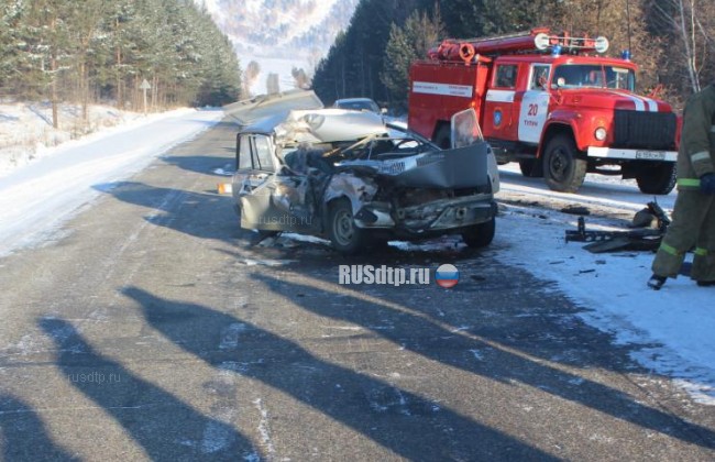 В Иркутской области по вине водителя КамАЗа погибла женщина