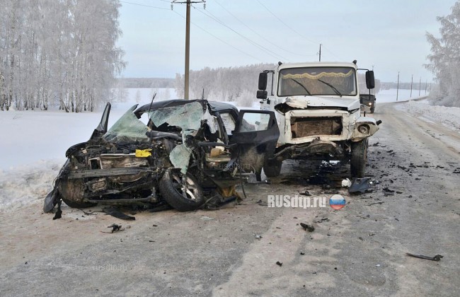 В Башкирии в ДТП с грузовиком погиб 2-летний ребенок