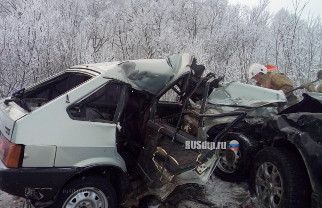 Двое взрослых и годовалая девочка погибли в ДТП в Пермском крае