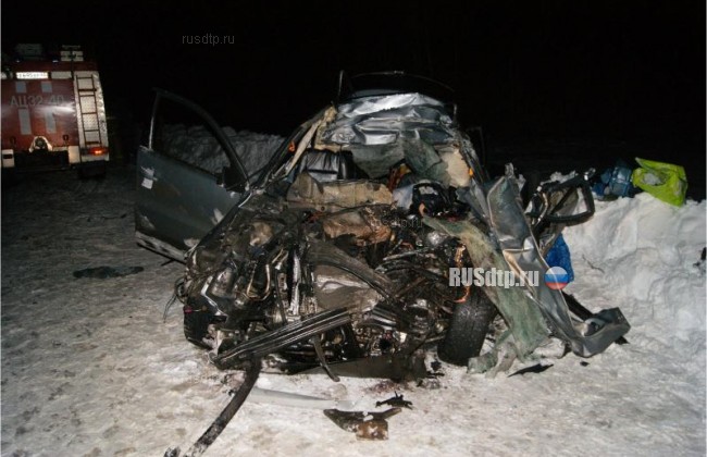 В Рязанской области в ДТП погибли 24-летняя девушка и ее пассажиры