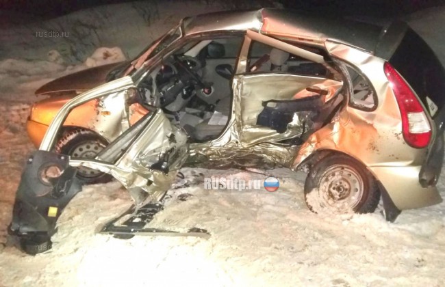 В Тамбовской области водитель выполнил разворот в запрещенном месте и погиб