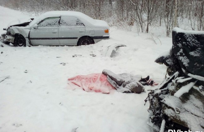 Женщина и мужчина погибли в ДТП в Хабаровском крае