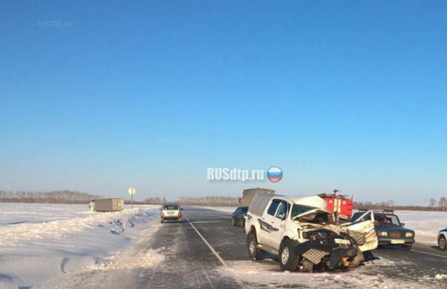71-летний водитель Тойоты погиб под встречным тягачом в Омской области