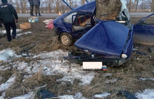 На Ставрополье легковушка врезалась в дерево, двое погибли