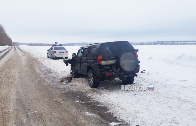 В Башкири в ДТП с участием Mitsubishi и Renault погиб водитель