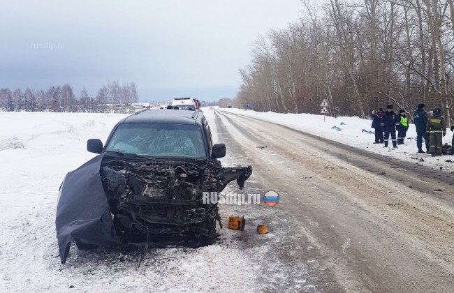 В Башкири в ДТП с участием Mitsubishi и Renault погиб водитель