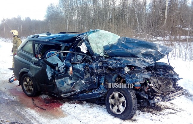 Ребенок и двое взрослых погибли на автодороге в Тверской области